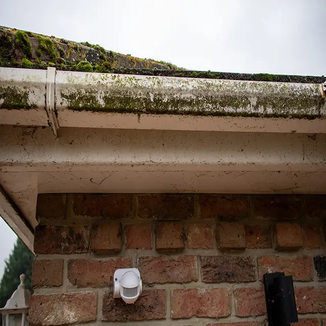 Professional cleaning of white uPVC fascia and soffits using a water-fed pole system in Wisbech.