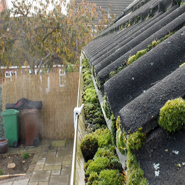 Before professional gutter cleaning: extreme moss accumulation in house gutters requiring industrial vacuum clearance.